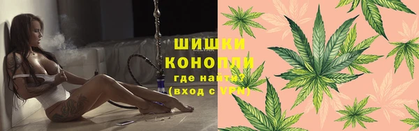 шишки Нефтекумск
