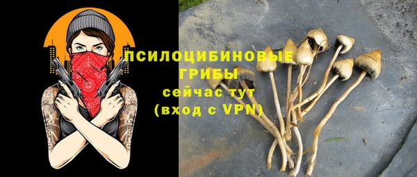 шишки Нефтекумск