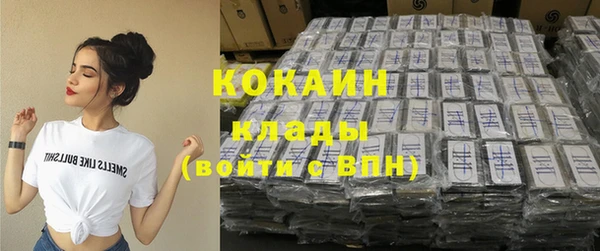 трава Наволоки