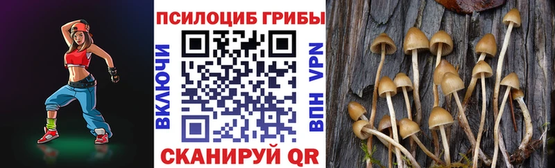 omg маркетплейс Староминская Галлюциногенные грибы прущие грибы
